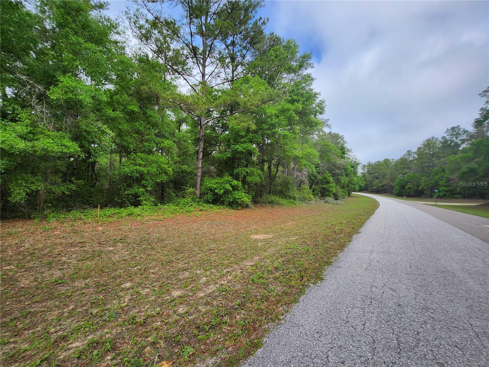 Image 6 of 6 For 9209 (lot 19) Athenia Drive