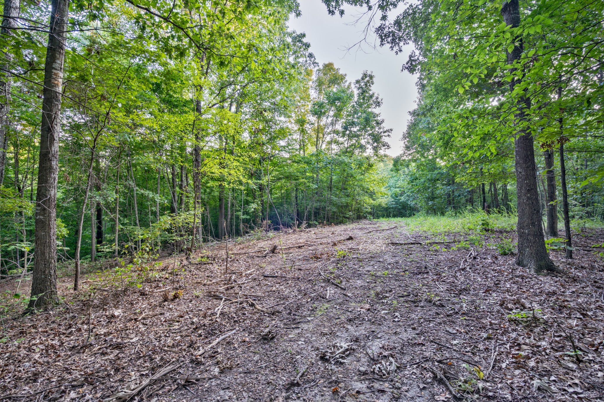 Image 5 of 35 For 9015 41st Court Road