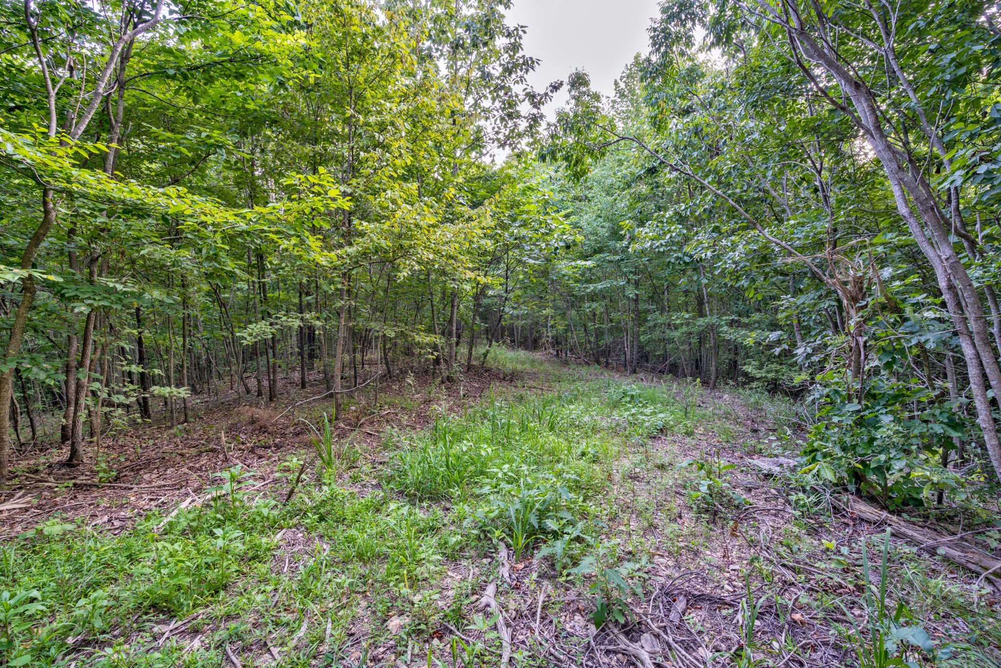 Image 6 of 35 For 9015 41st Court Road