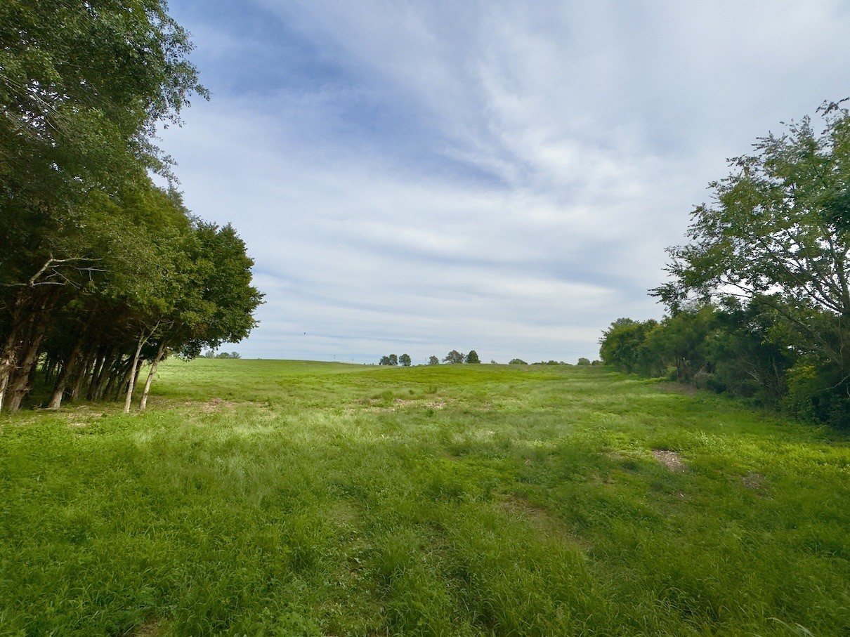 Image 5 of 46 For 9071 99th Court Road