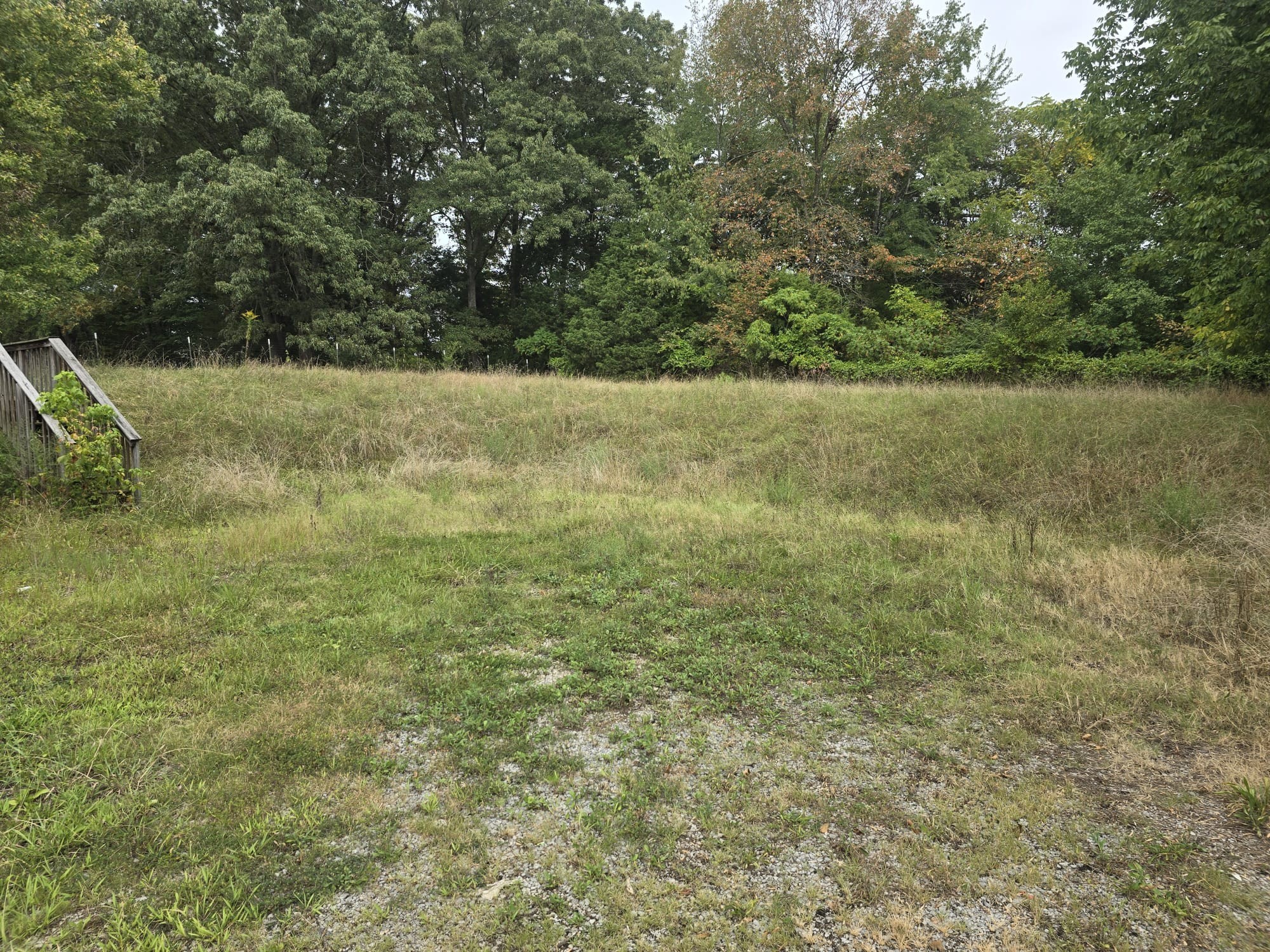 Listing photo id 15 for 11 Sweetgum Court S