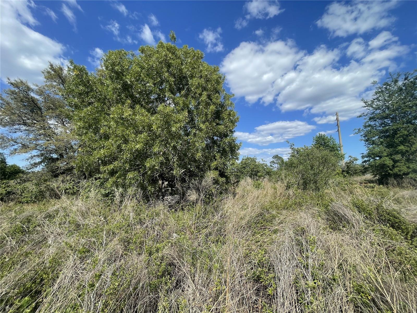 Image 3 of 3 For Tbd 54th Avenue Road