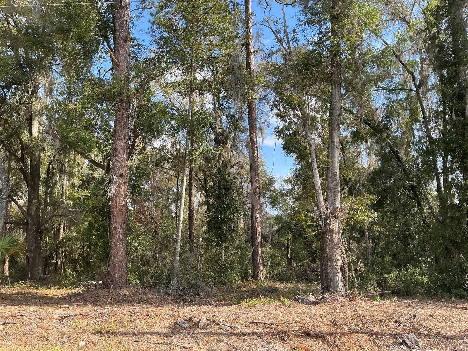 Details for 0 Locust Drive, OCALA, FL 34472