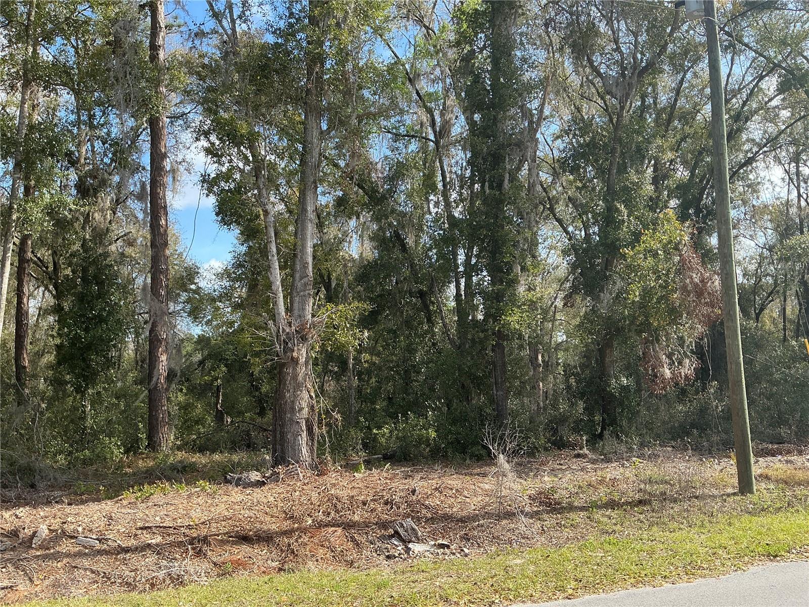 Image 3 of 5 For 0 Locust Drive