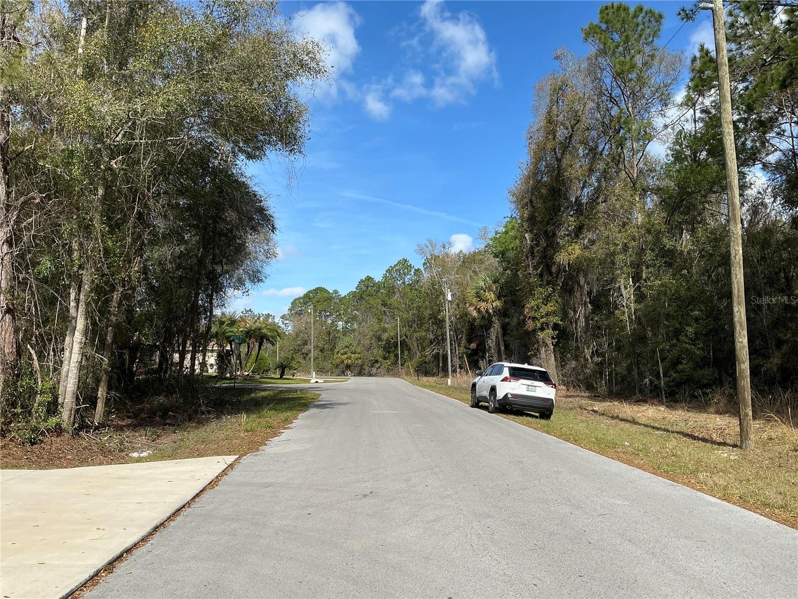 Image 5 of 5 For 0 Locust Drive
