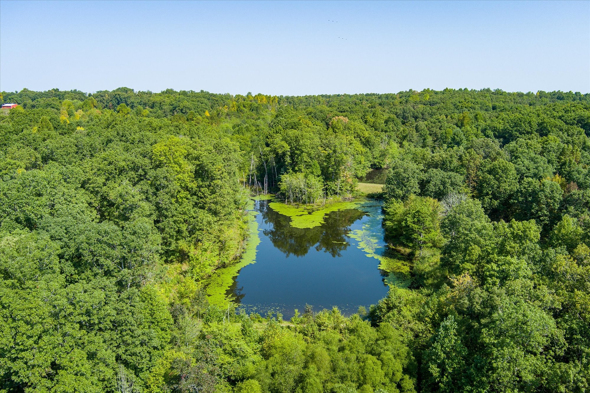 Details for 25292 132nd Lane, FORT MC COY, FL 32134