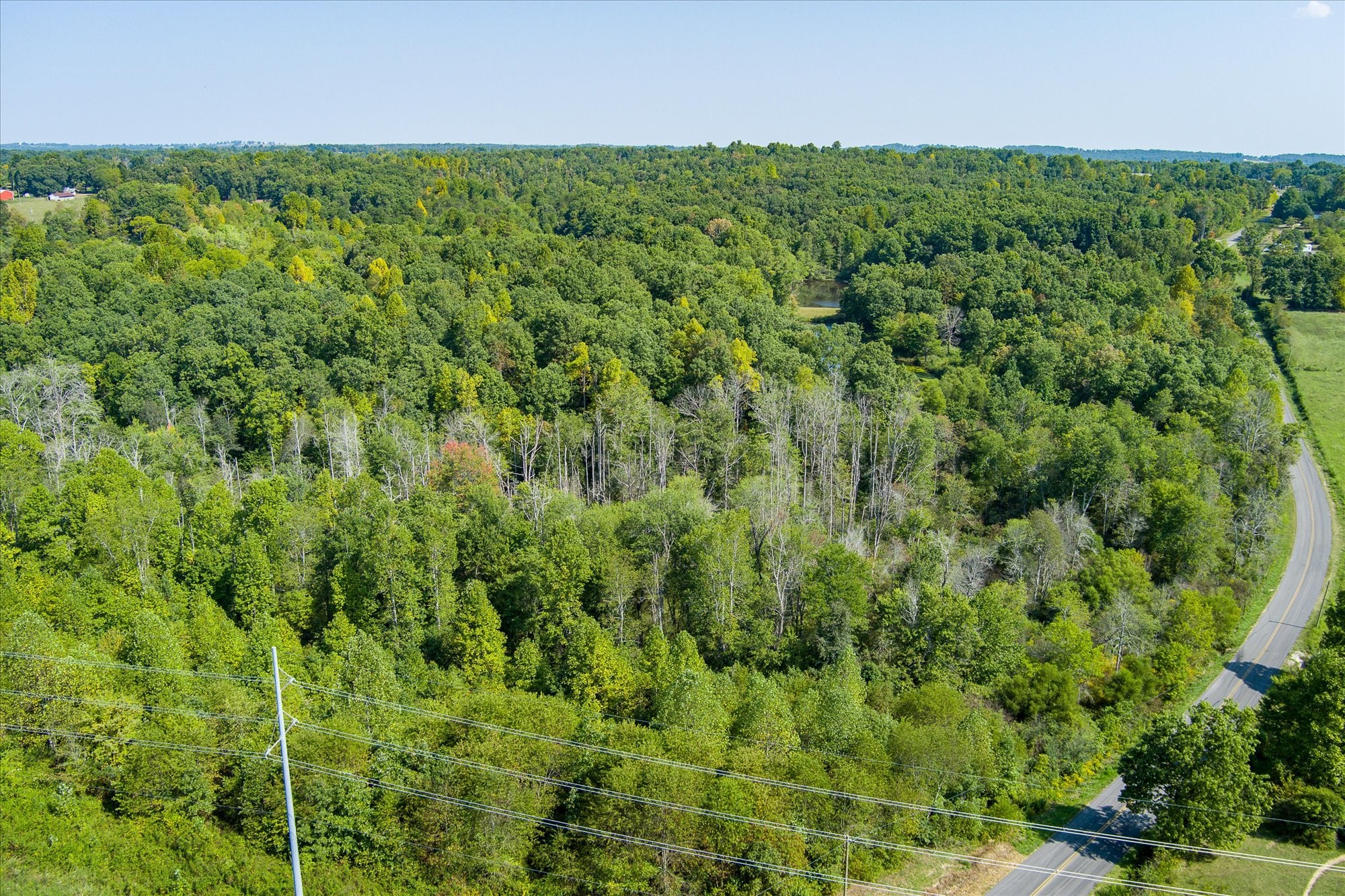 Image 7 of 22 For 25292 132nd Lane
