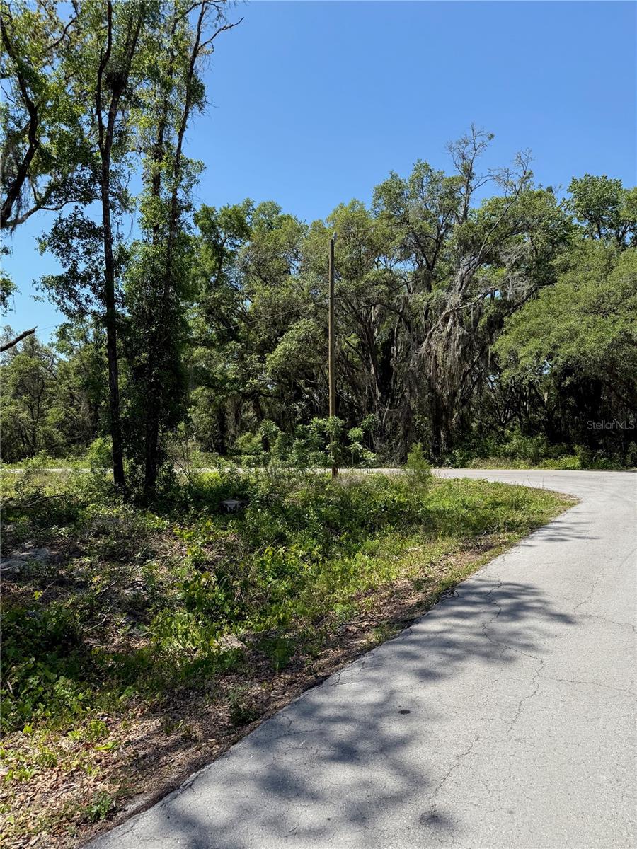Image 13 of 15 For Tbd Locust Drive Trail