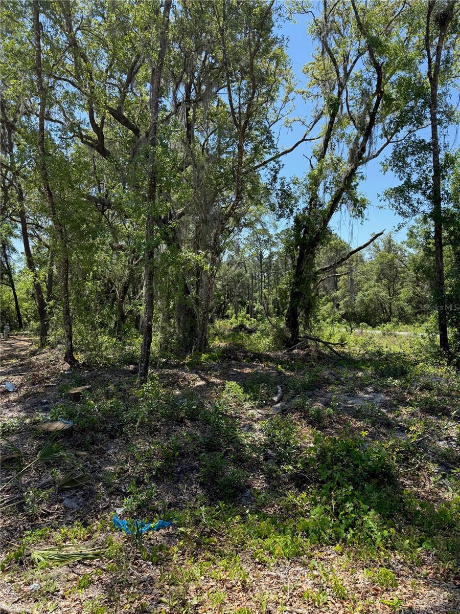 Image 15 of 15 For Tbd Locust Drive Trail