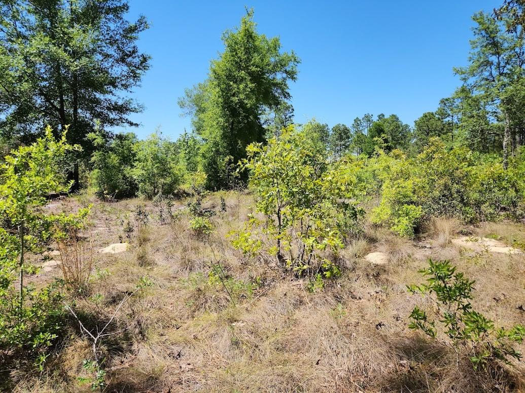 Image 3 of 14 For Lot 5 64th Lane
