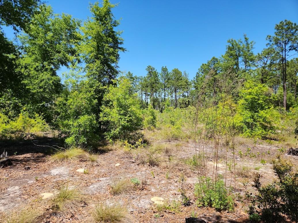 Image 5 of 14 For Lot 5 64th Lane
