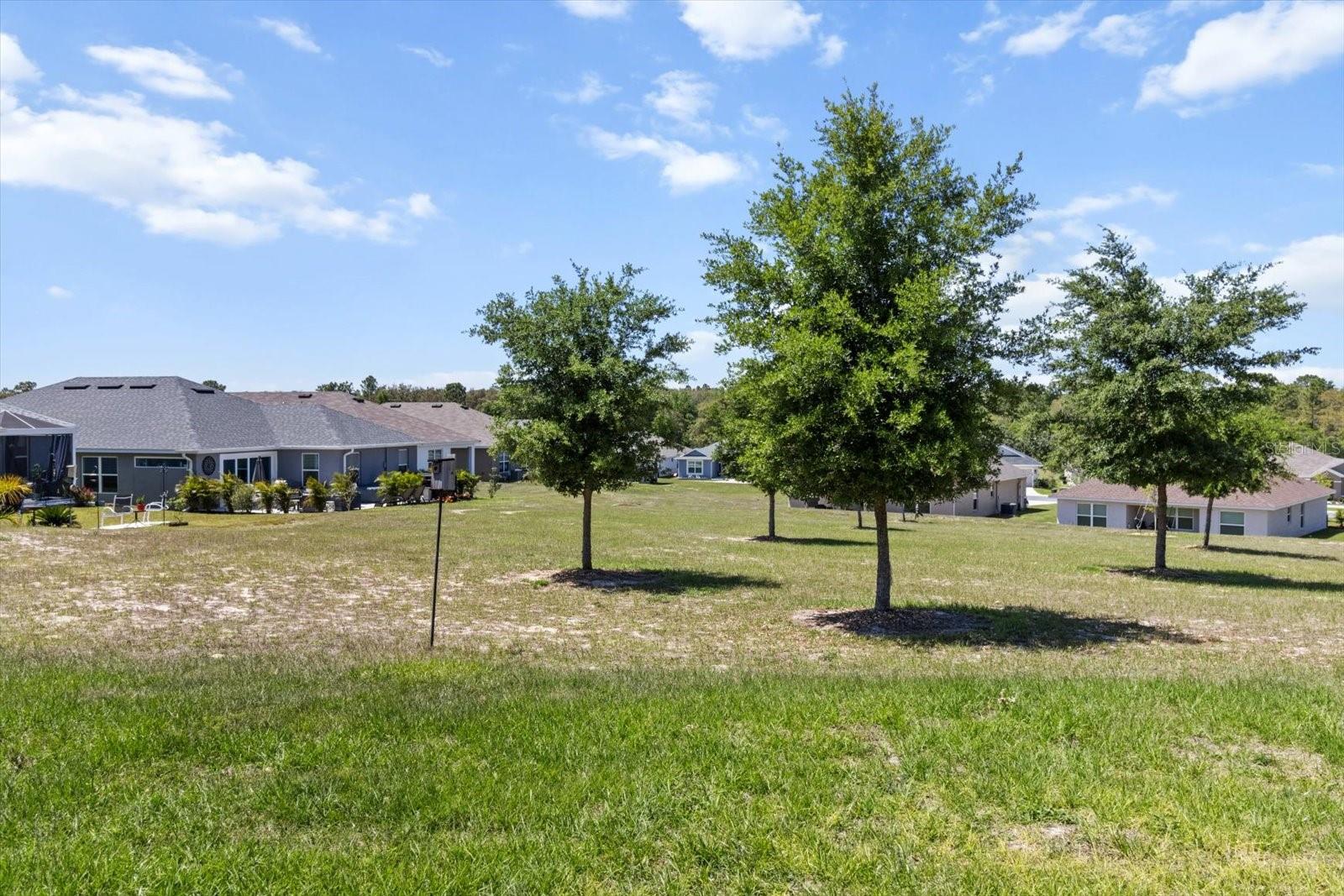 Image 42 of 45 For 571 Twisted Oaks Drive