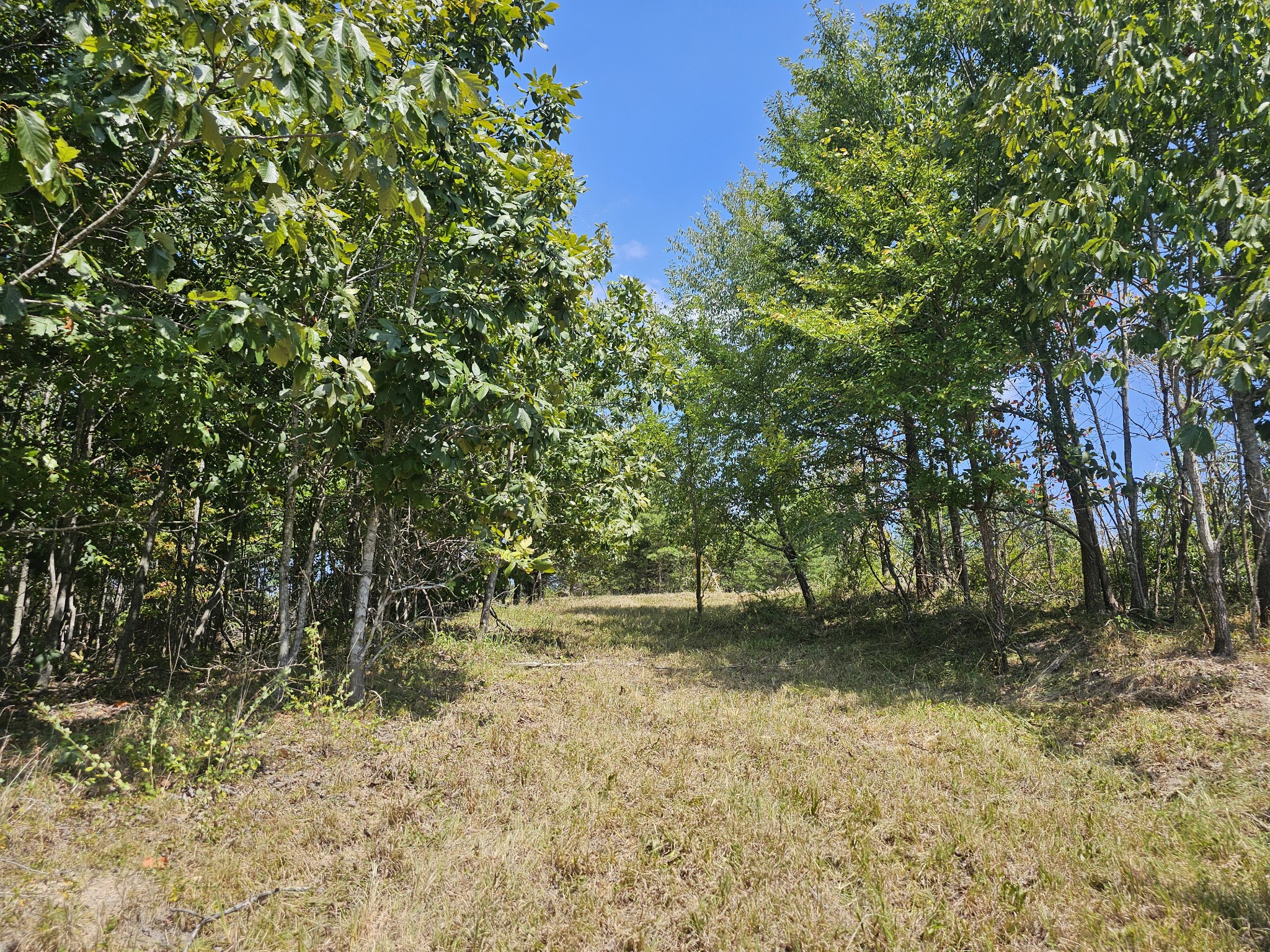 Image 6 of 10 For 4755 151st Place