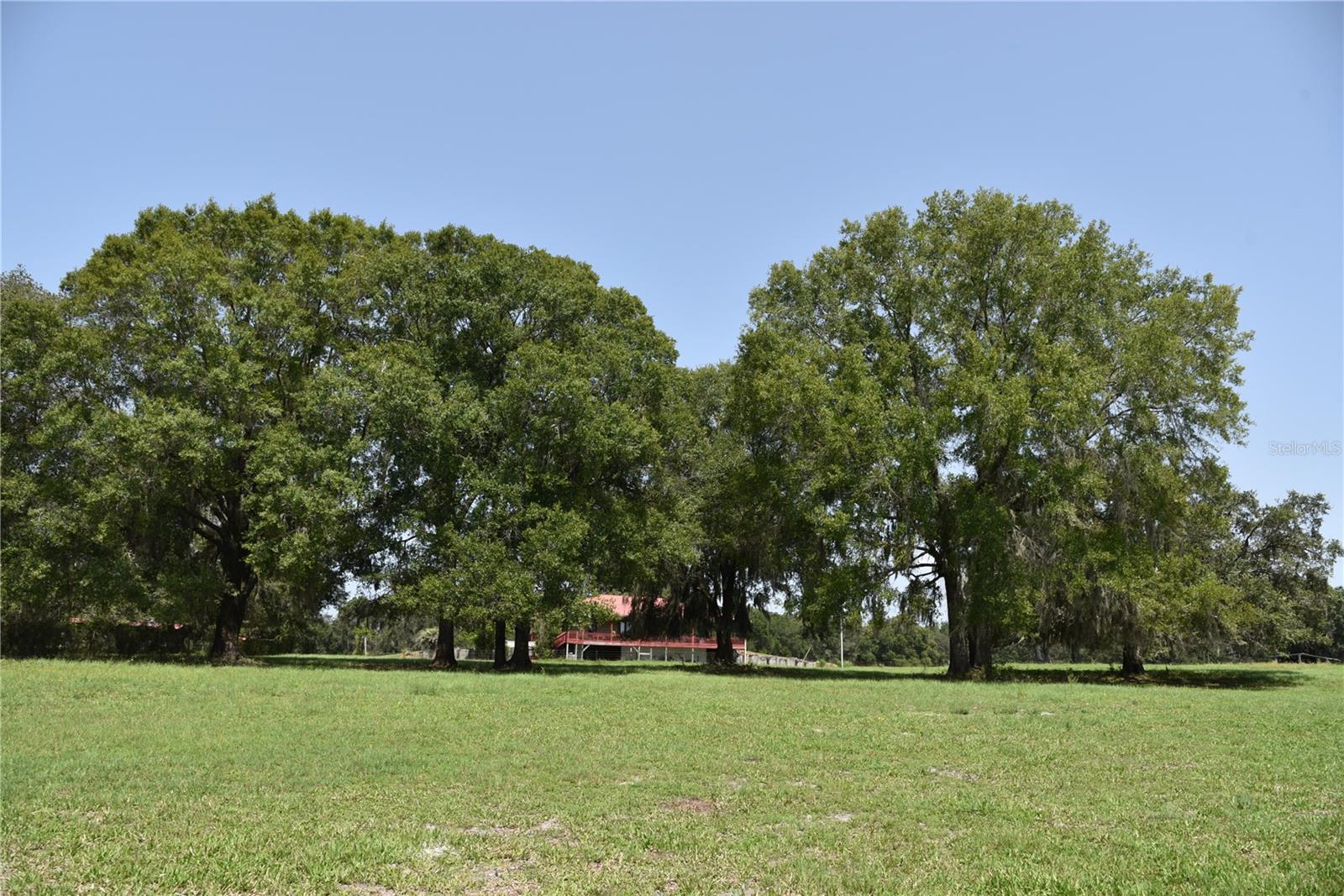 Image 65 of 66 For 2658 353 Highway