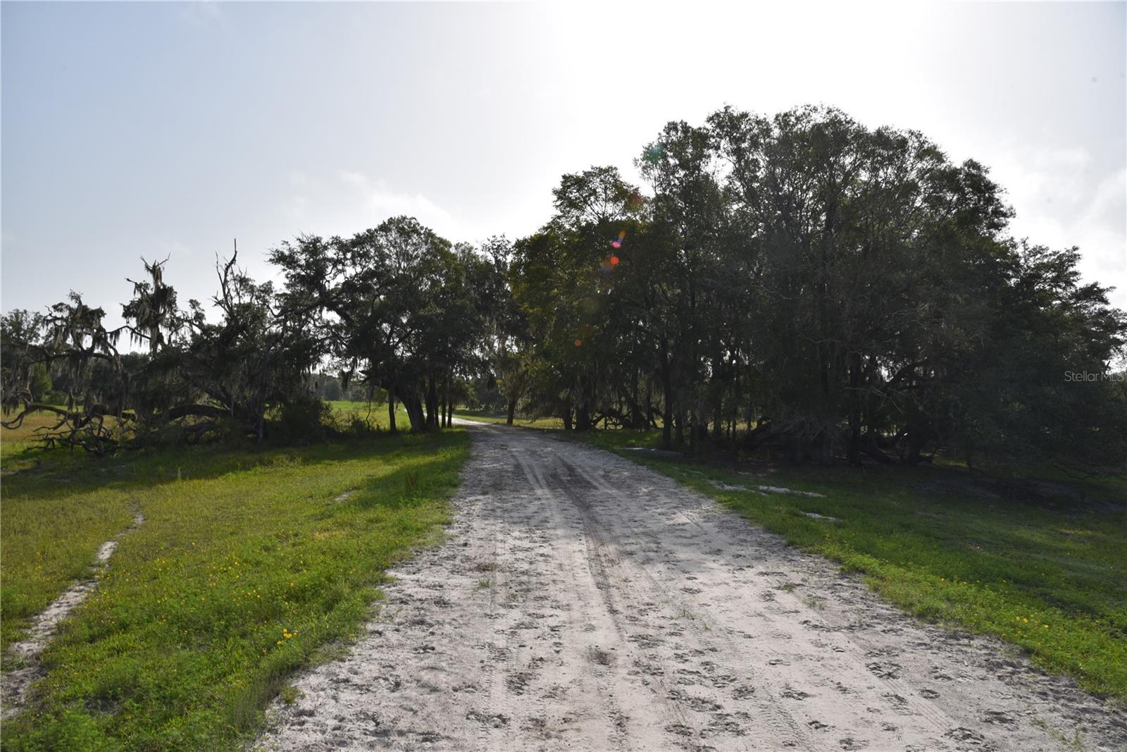 Image 8 of 66 For 2658 353 Highway