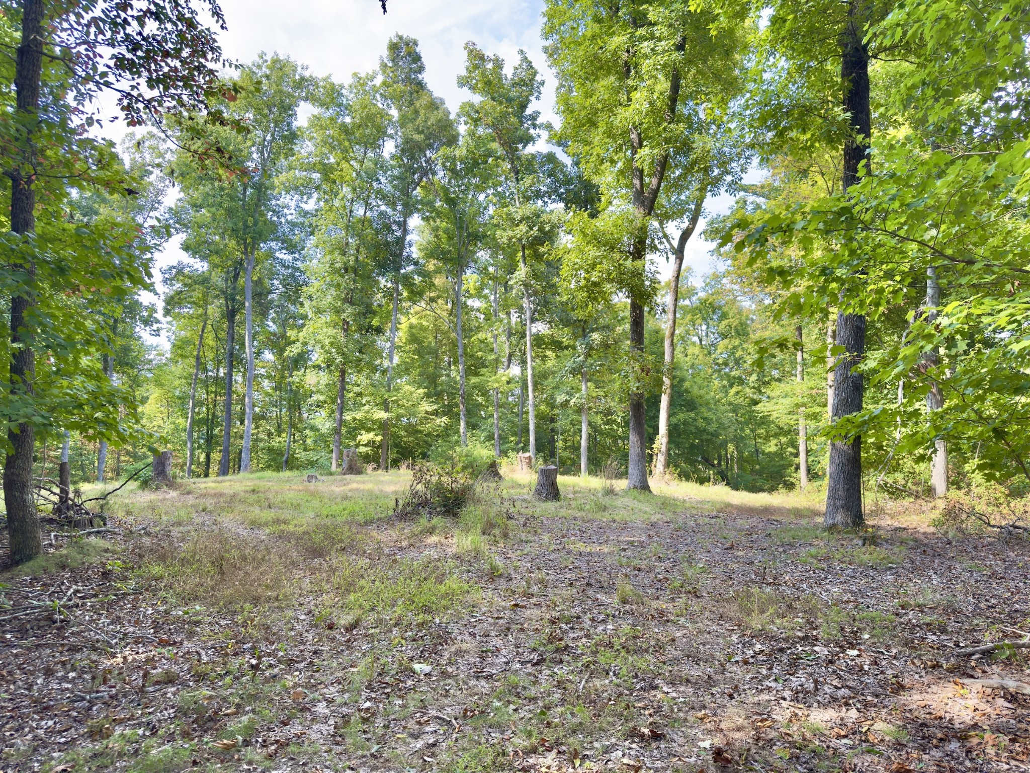 Image 8 of 33 For 2630 140th Street
