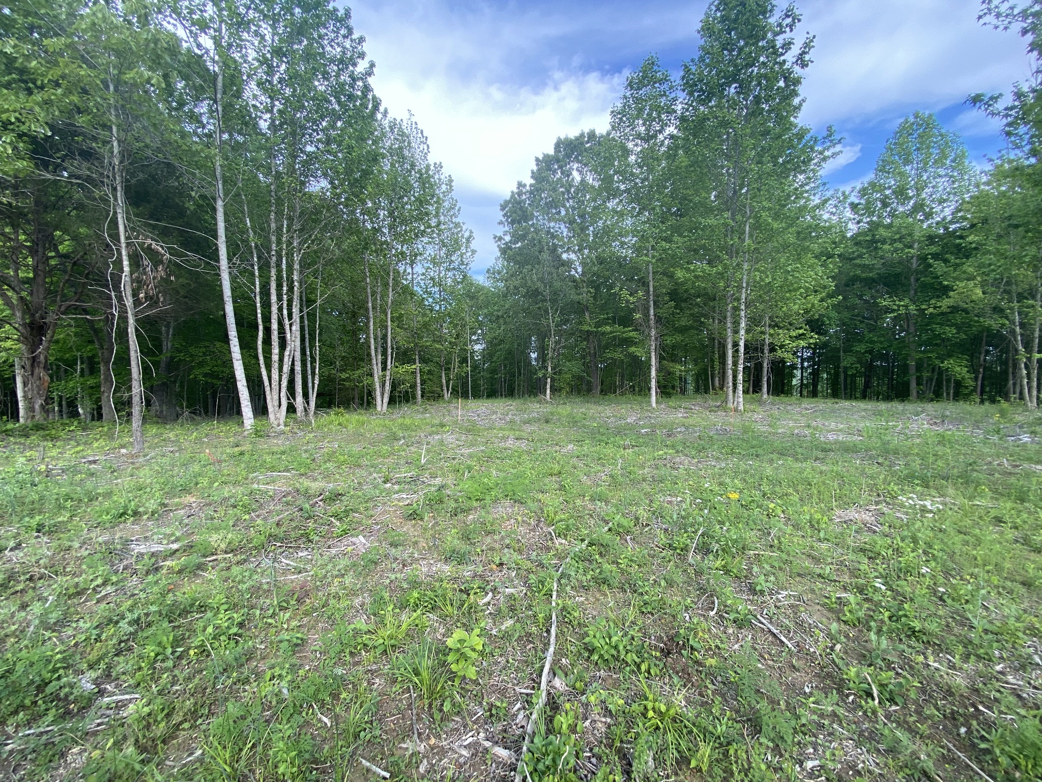 Image 10 of 11 For 0 110th Street Road