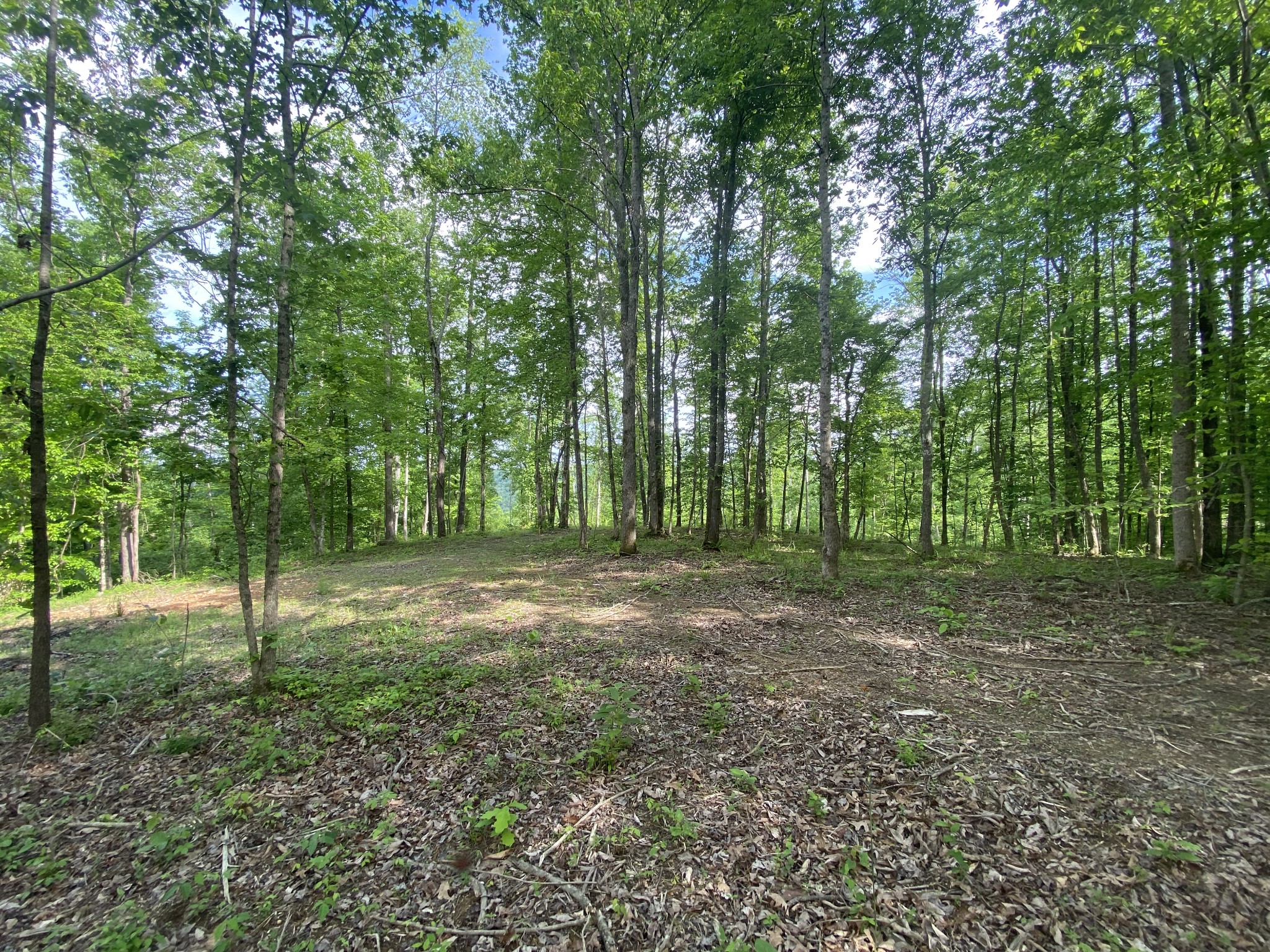 Image 7 of 11 For 0 110th Street Road