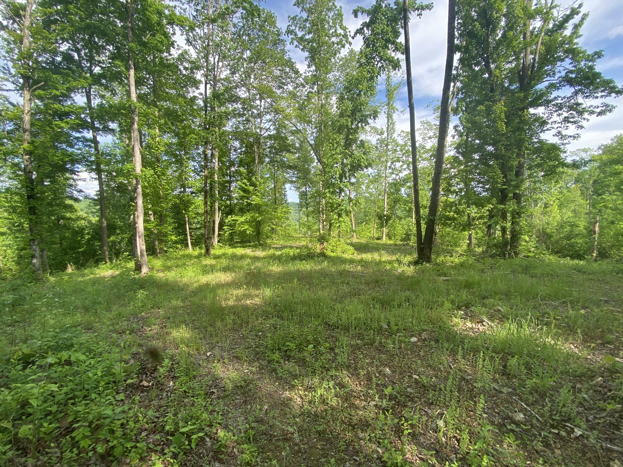 Image 9 of 11 For 0 110th Street Road