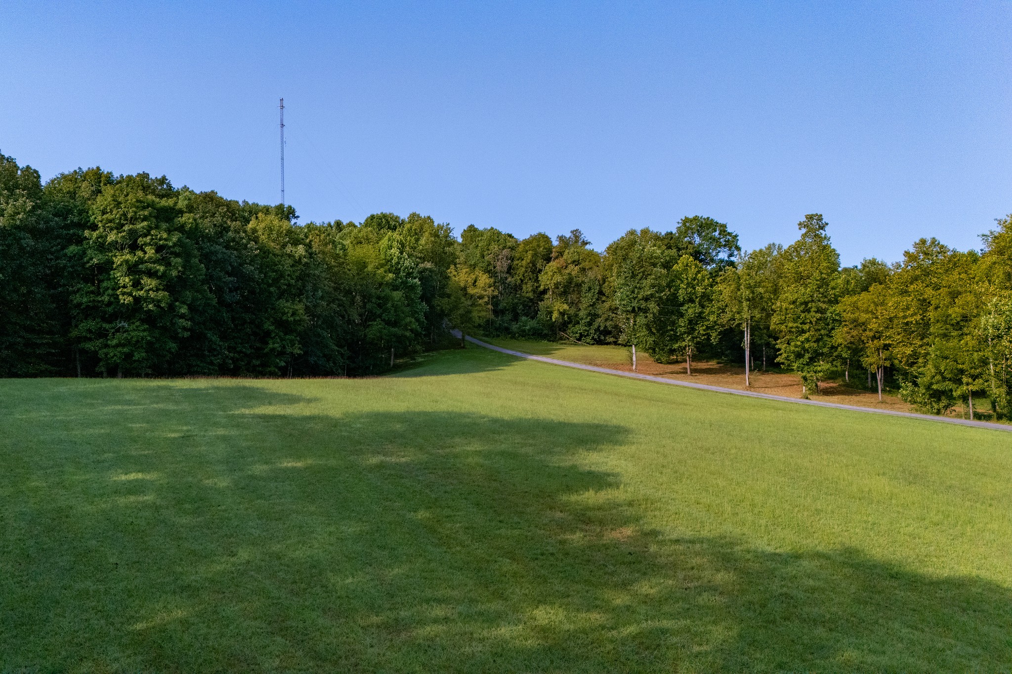 Image 4 of 55 For 1955 50th Circle