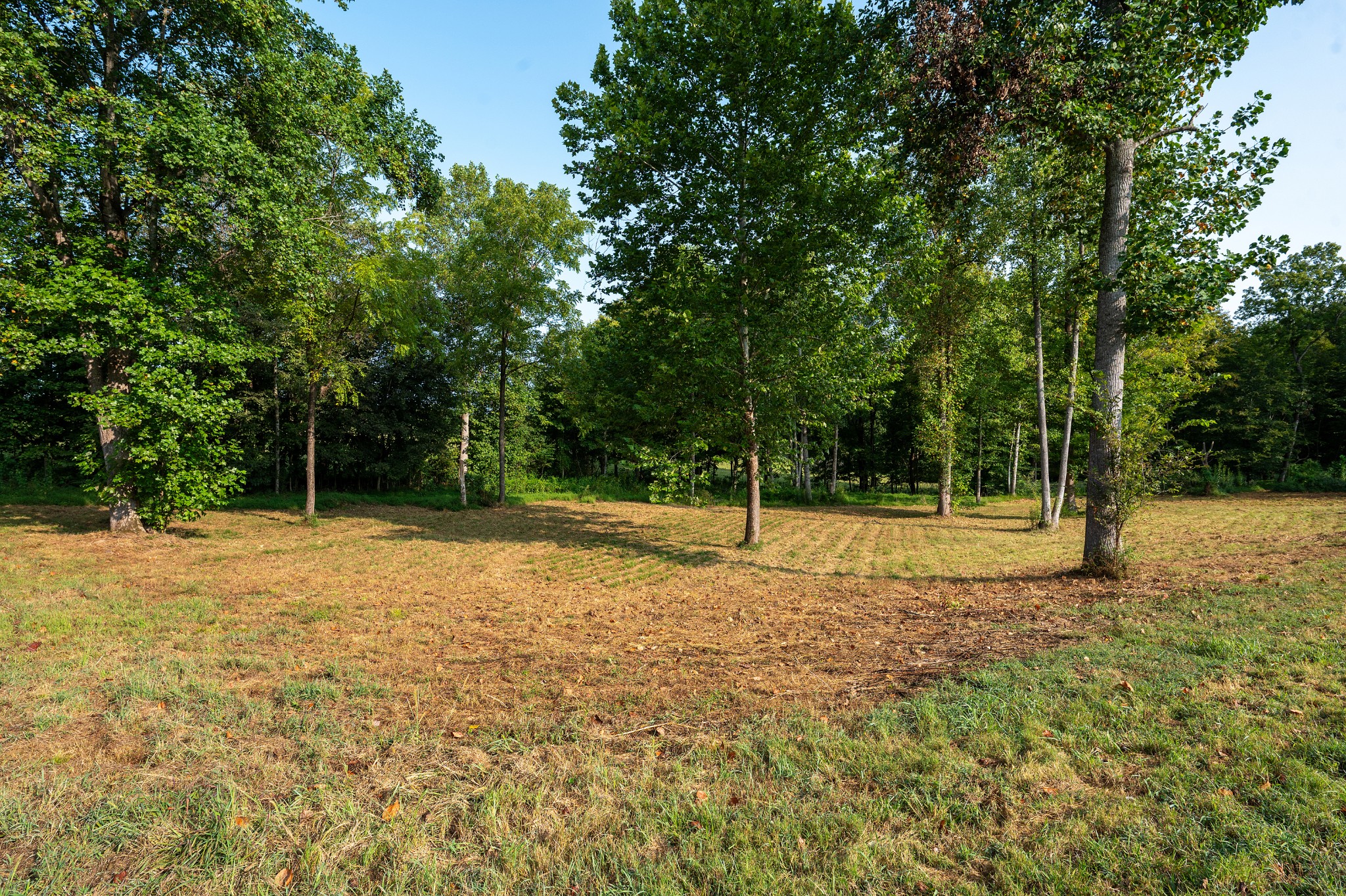 Image 7 of 55 For 1955 50th Circle