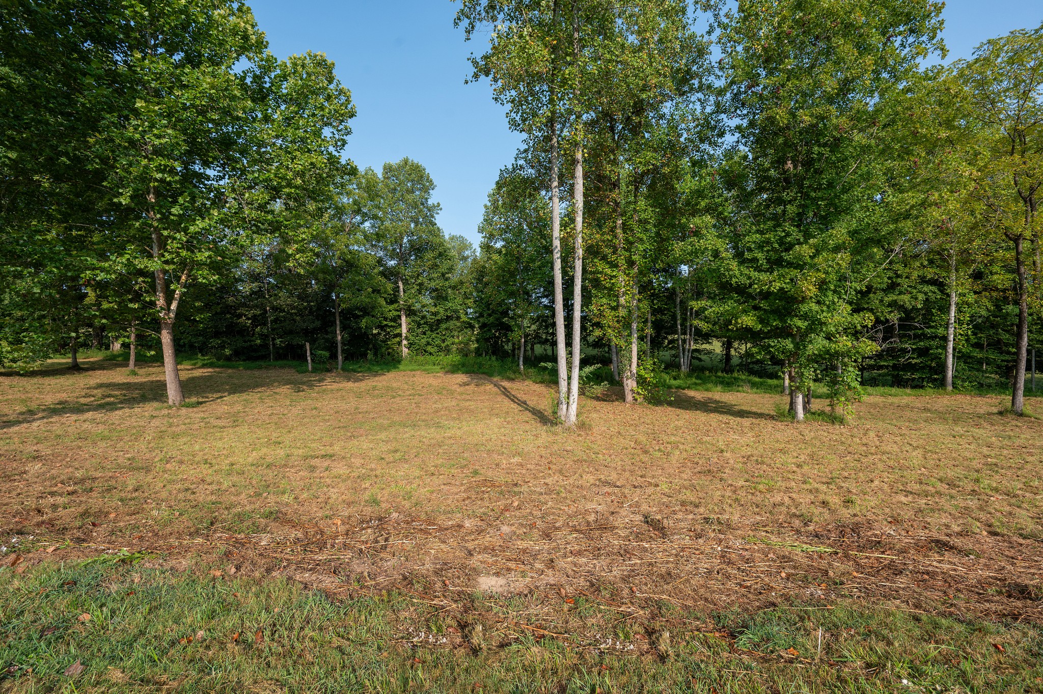 Image 8 of 55 For 1955 50th Circle