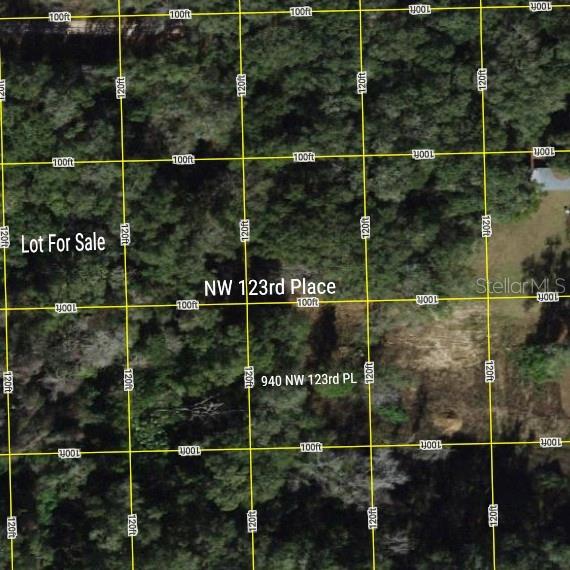 Details for Tbd 123rd Place, CITRA, FL 32113