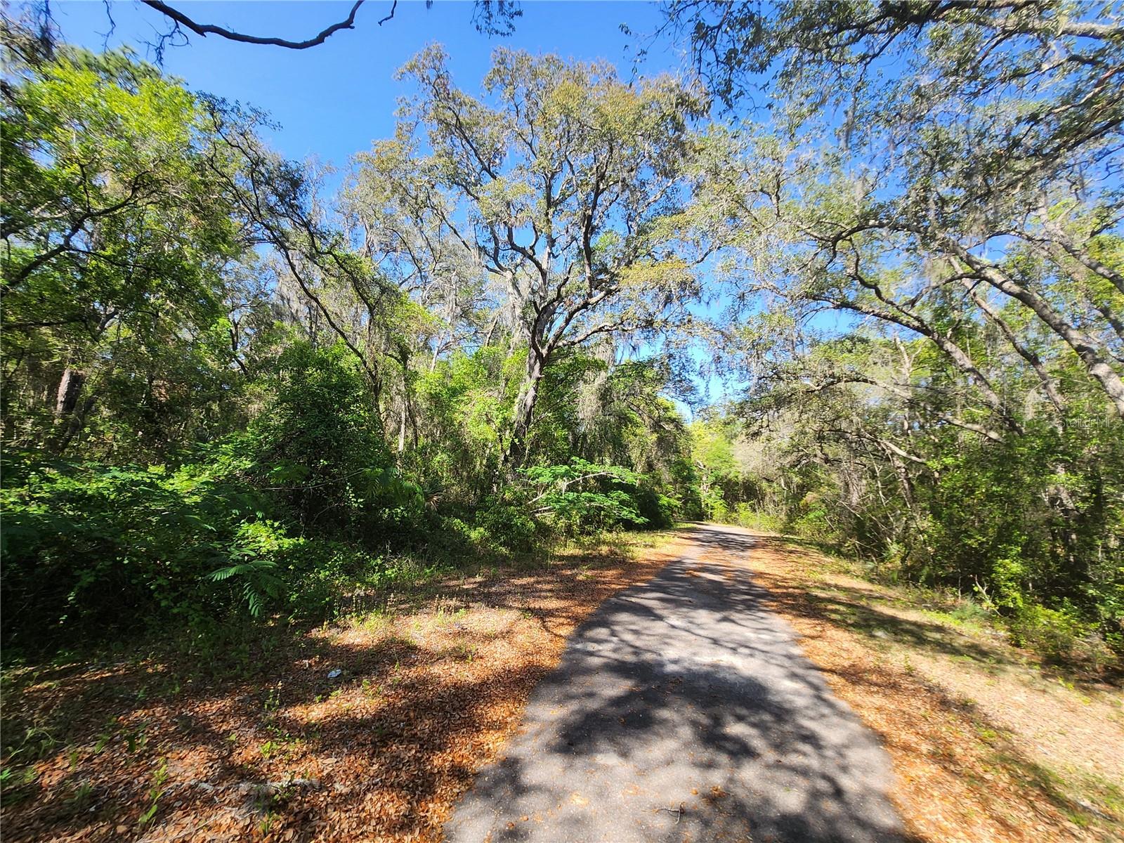 Image 4 of 7 For Tbd Guava Terr Loop