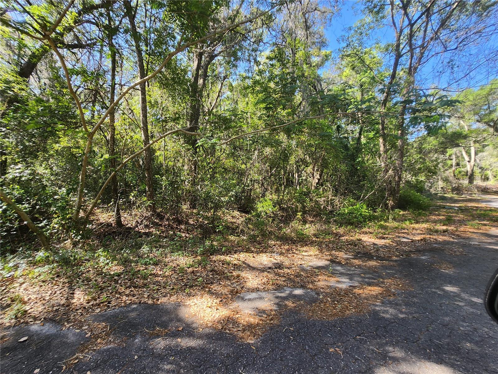 Image 5 of 7 For Tbd Guava Terr Loop