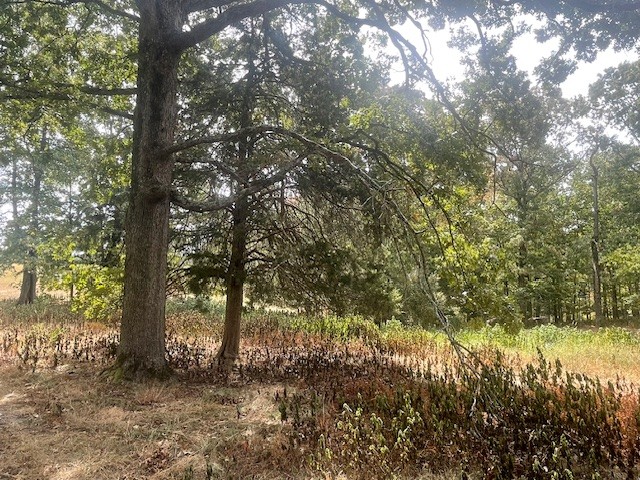 Image 10 of 21 For 150th Ave Road Lot 3