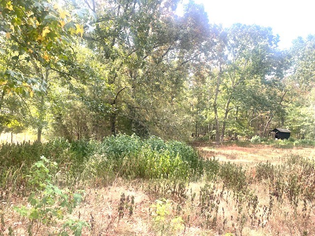 Image 11 of 21 For 150th Ave Road Lot 3