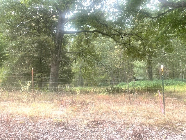 Image 12 of 21 For 150th Ave Road Lot 3