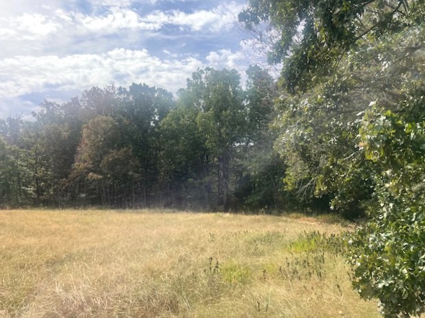 Image 2 of 21 For 150th Ave Road Lot 3