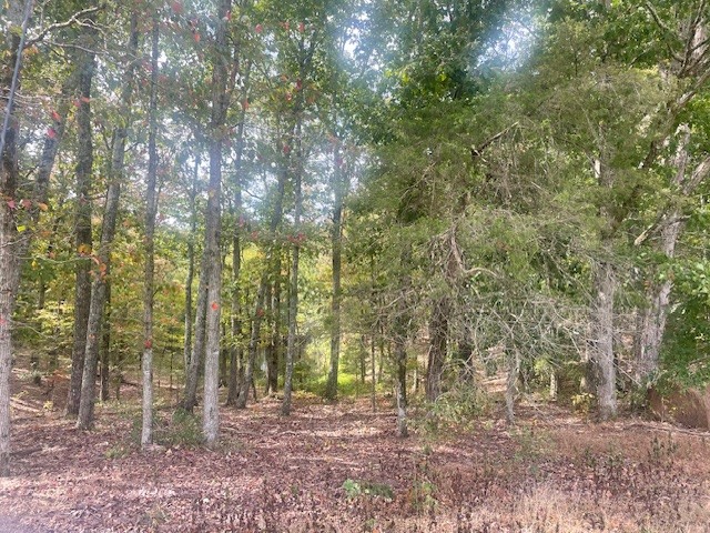 Image 5 of 21 For 150th Ave Road Lot 3