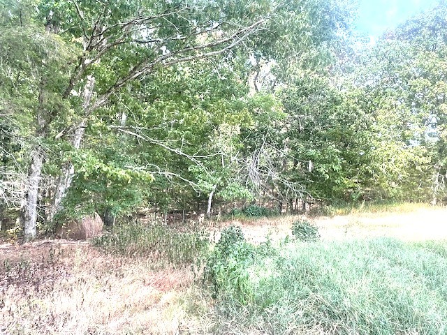Image 7 of 21 For 150th Ave Road Lot 3