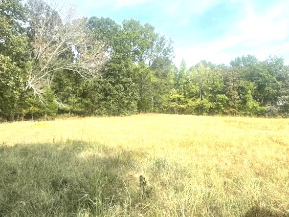 Image 8 of 21 For 150th Ave Road Lot 3