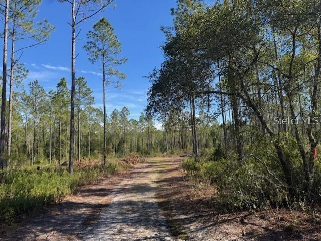 Image 15 of 21 For 150th Ave Road Lot 5
