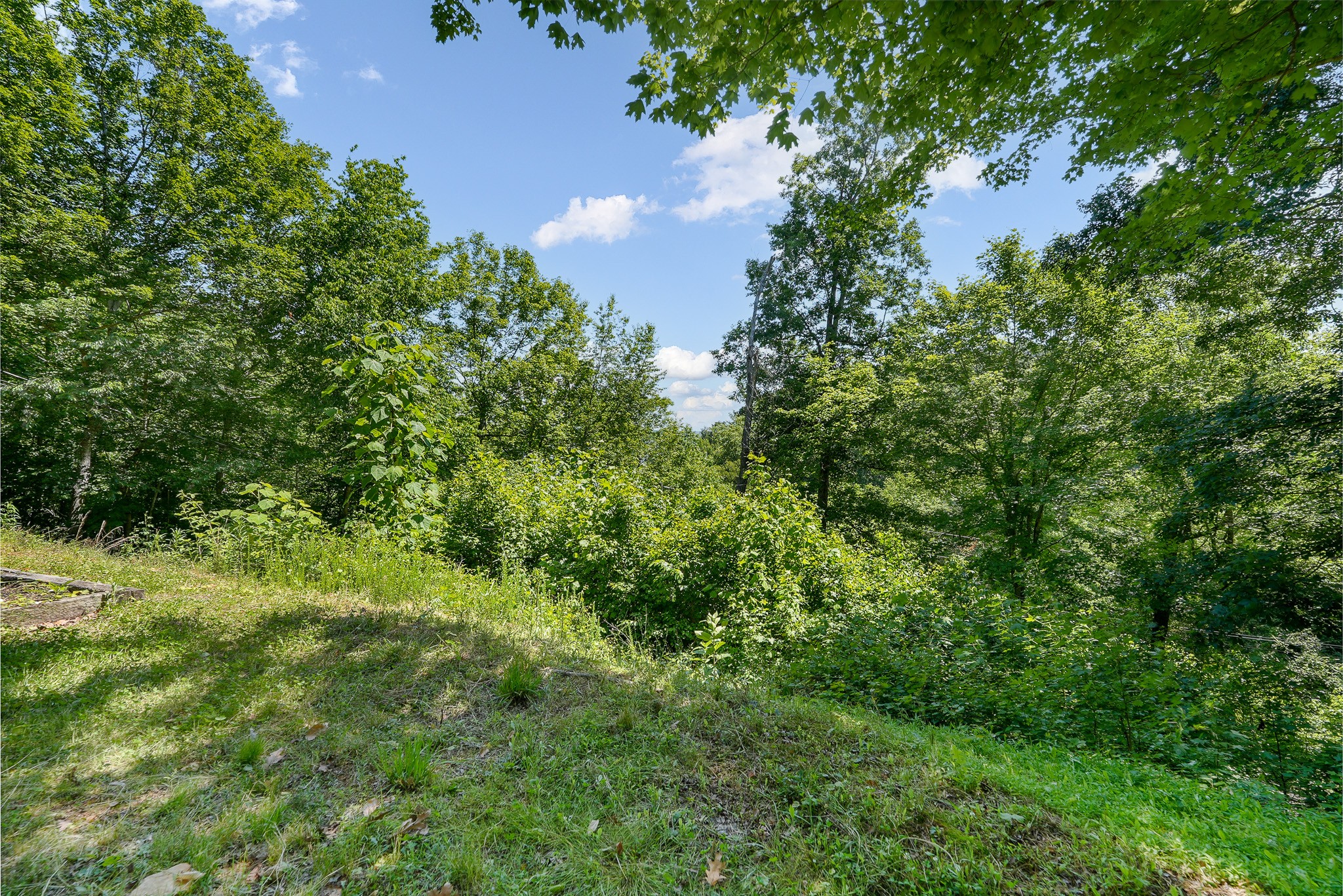 Image 24 of 57 For 4070 Forest Lake Drive