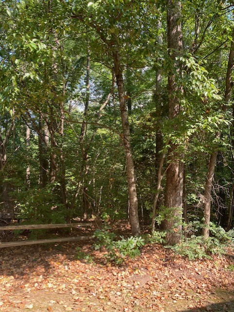 Details for 257 8th Street, WILLISTON, FL 32696