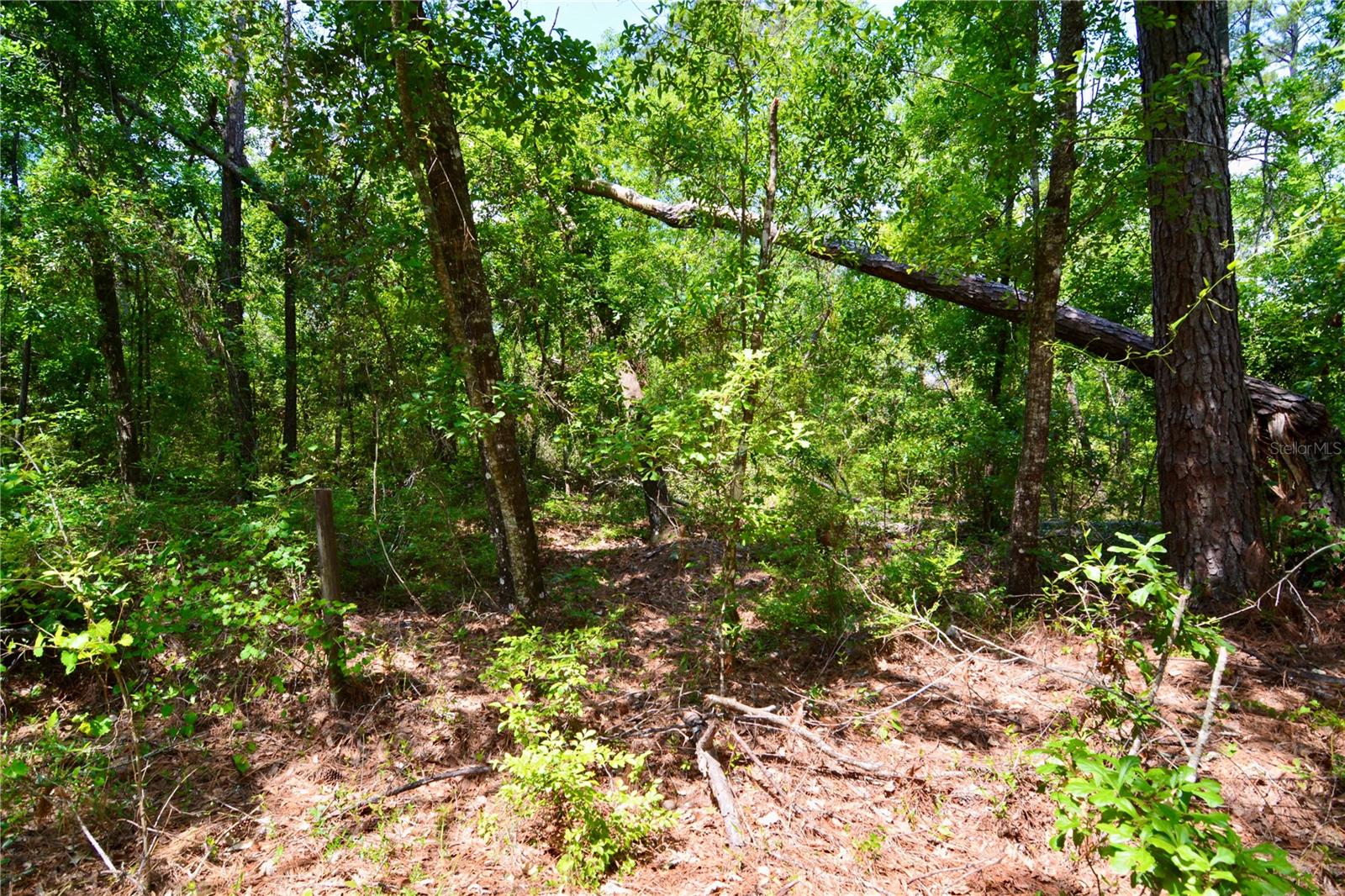 Image 19 of 34 For Oviedo Trail