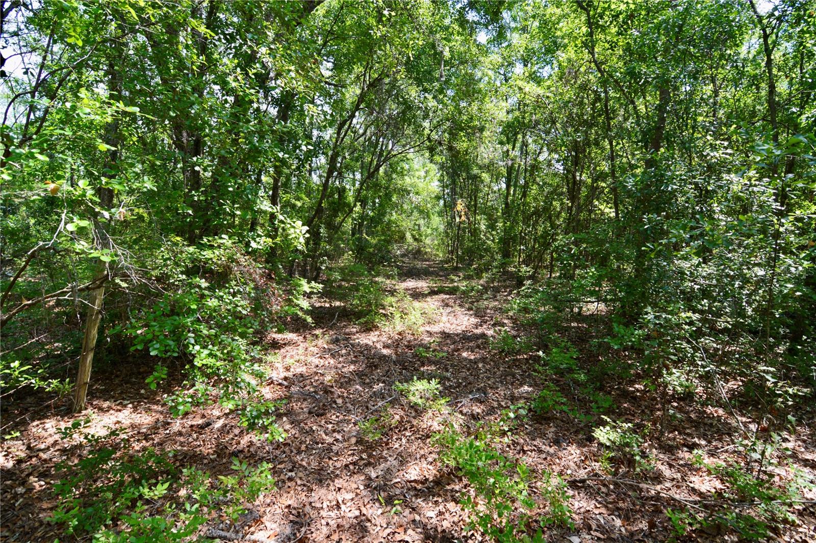 Image 20 of 34 For Oviedo Trail
