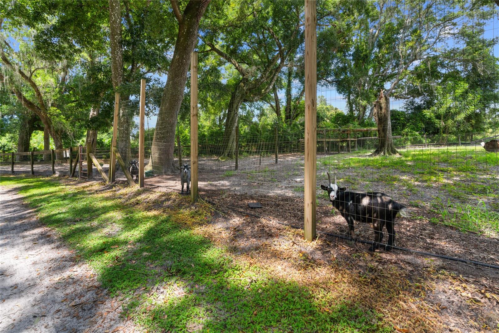 Image 10 of 100 For 889 165th Street