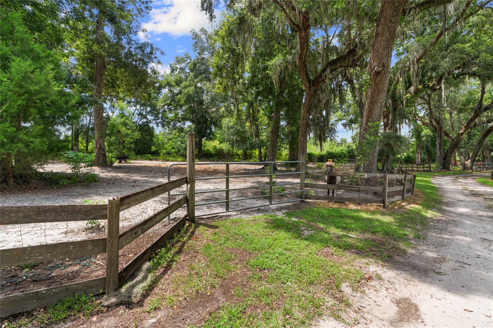 Image 45 of 100 For 889 165th Street