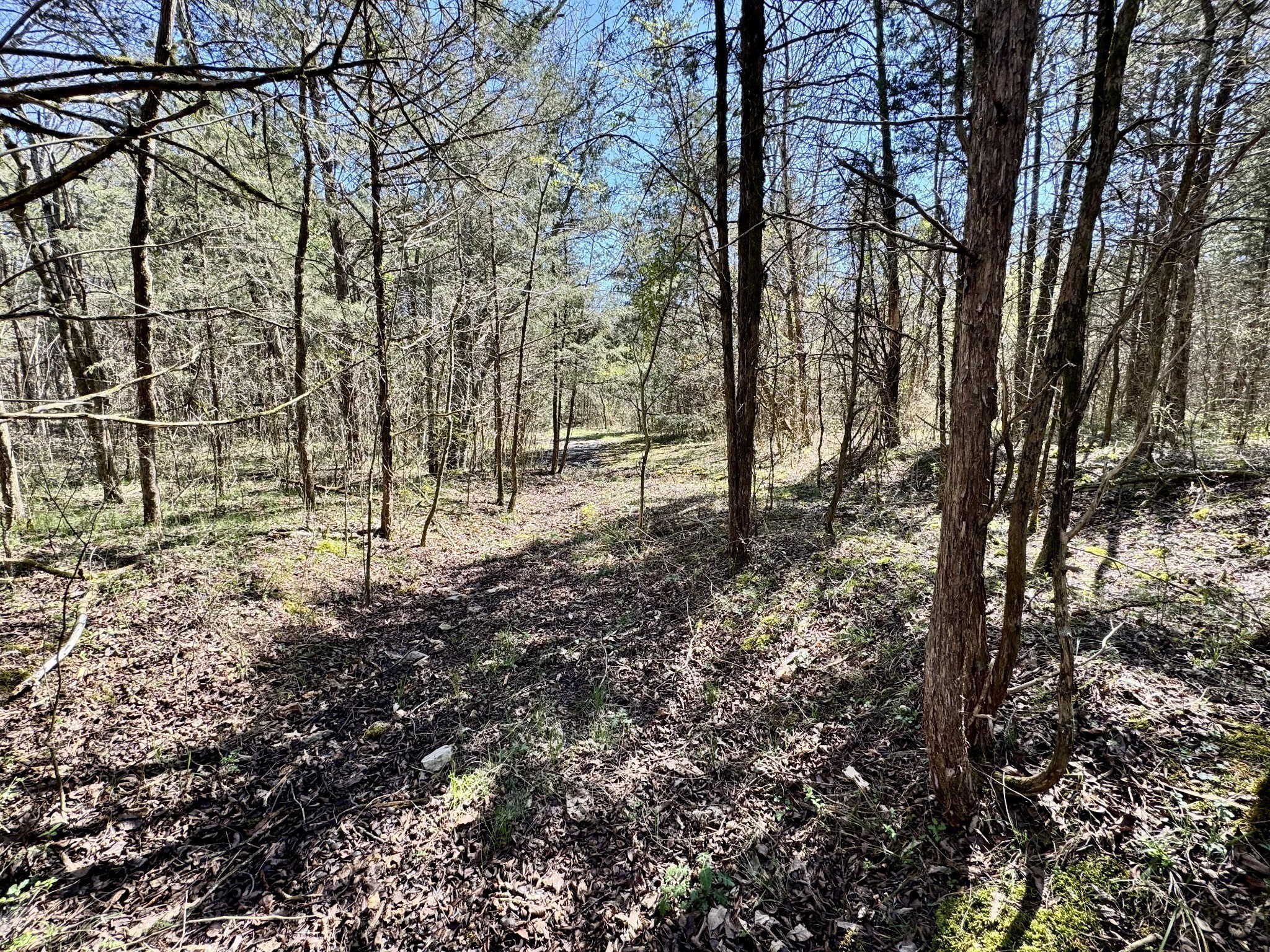 Image 11 of 33 For 415 1st Avenue 101-b