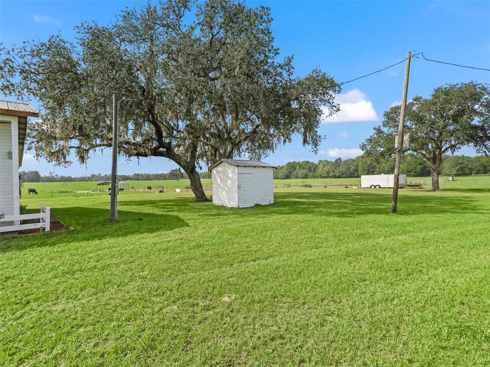 Image 43 of 99 For 9451 107th Court
