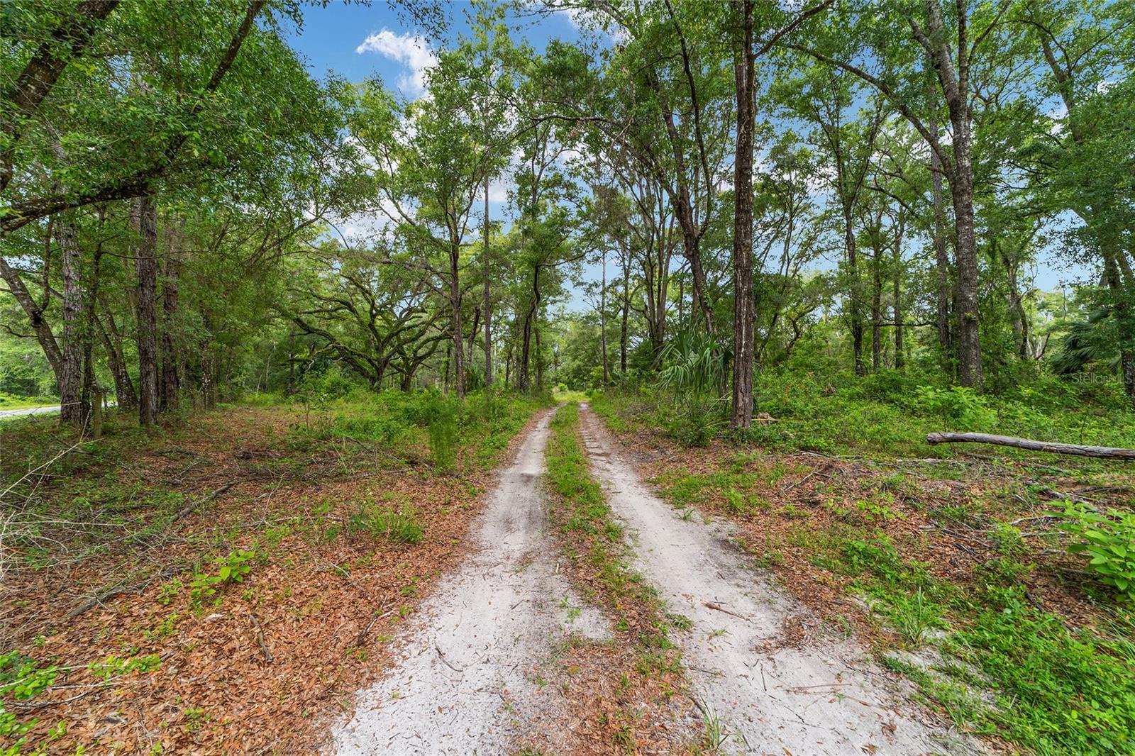 Image 7 of 53 For 18899 77th Place Road