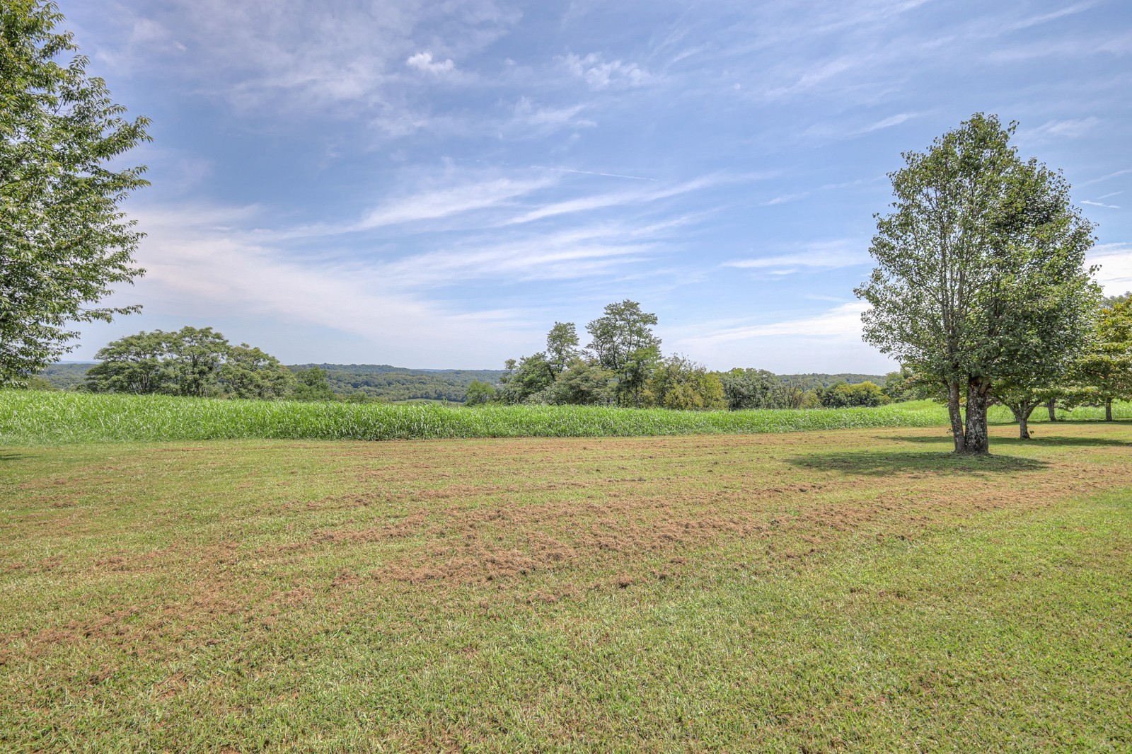 Listing photo id 18 for 10990 And 11000 Seminole Place