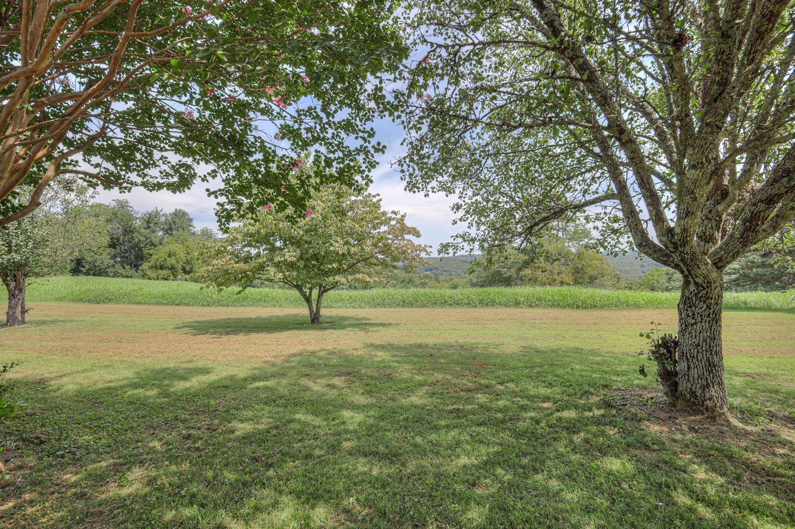 Listing photo id 24 for 10990 And 11000 Seminole Place