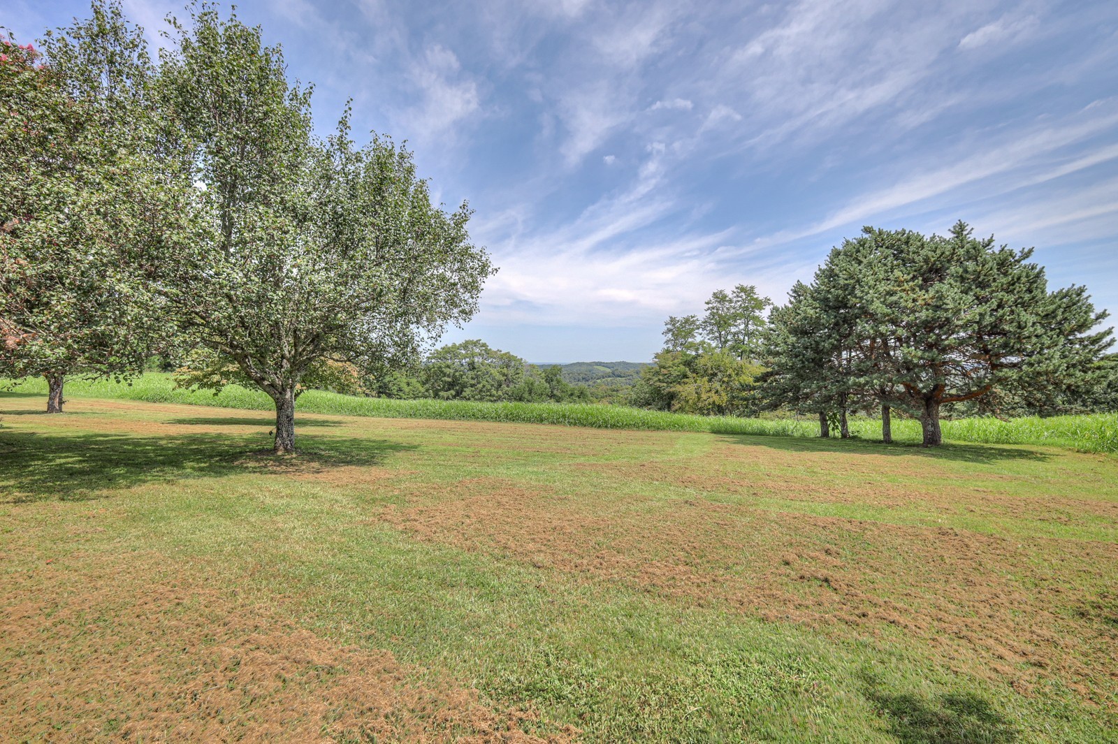 Listing photo id 25 for 10990 And 11000 Seminole Place
