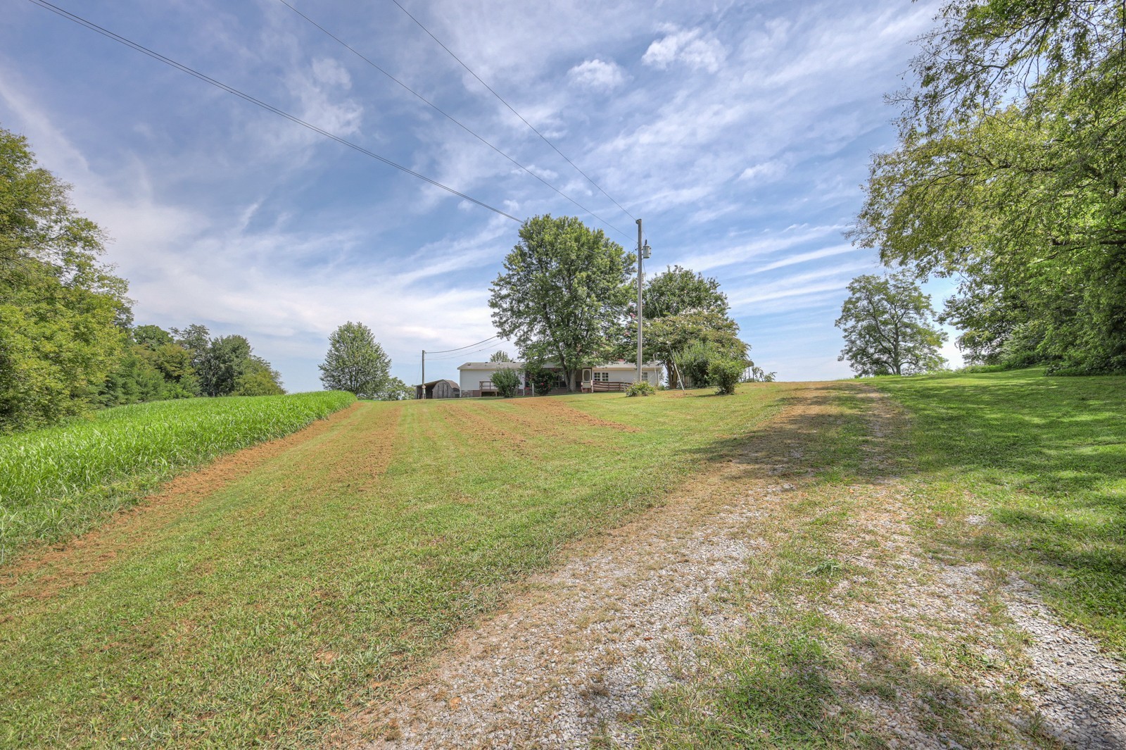 Listing photo id 29 for 10990 And 11000 Seminole Place